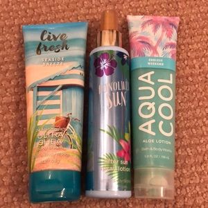Bath and body works lot